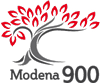 Modena900
